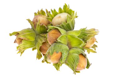 Kabuklu fındık beyaz arkaplanda izole