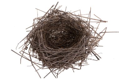 Kuş yuvası beyaz arkaplanda izole