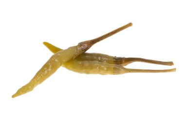green pickled pepper isolated on white background