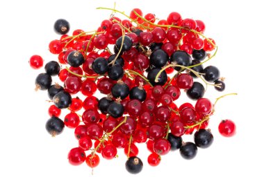 Frenk üzümü beyaz arkaplanda izole edildi