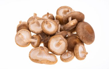 Beyaz arka planda izole edilmiş Şiitake mantarları