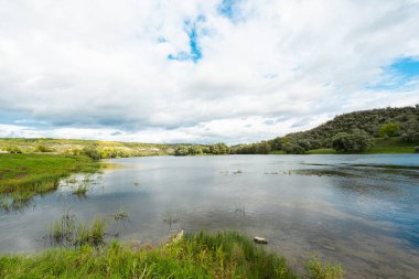 summer landscape on the Dniester river