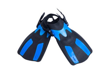 Beyaz arka plan üzerinde izole palet