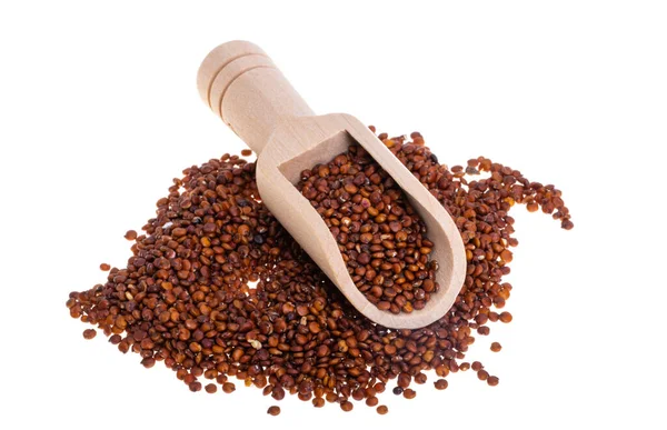 Rote Quinoa Isoliert Auf Weißem Hintergrund — Stockfoto
