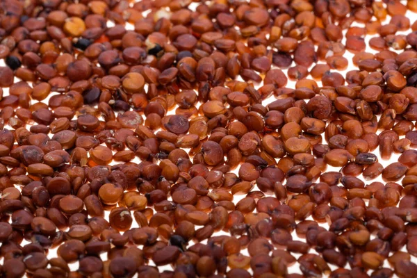 Červená Quinoa Izolované Bílém Pozadí — Stock fotografie