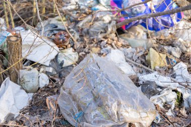 Ormanda bir sürü çöp var.