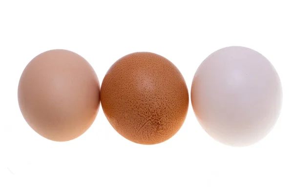 Chicken Egg Isolated White Background — Stock Photo, Image