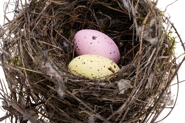 Bird Nest Isolated White Background — Stock Photo, Image