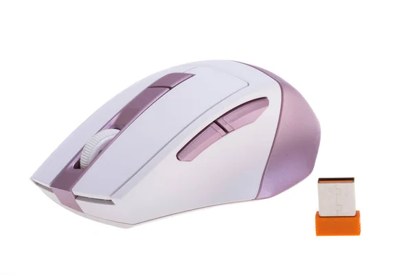 Usb Computer Mouse Isolated White Background — Stock Photo, Image