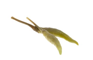 turşulu biber beyaz arkaplanda izole edildi