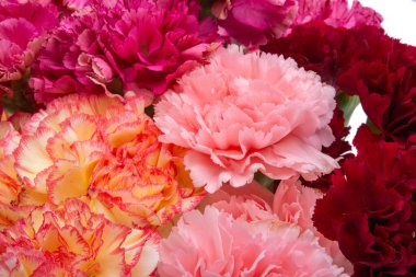 bouquet of carnations isolated on white background clipart