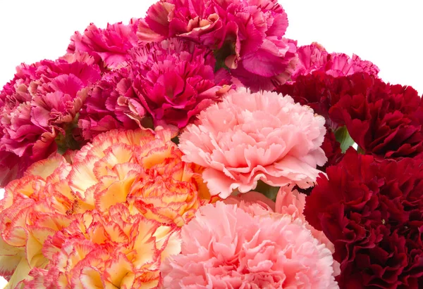 Bouquet Carnations Isolated White Background — Stock Photo, Image