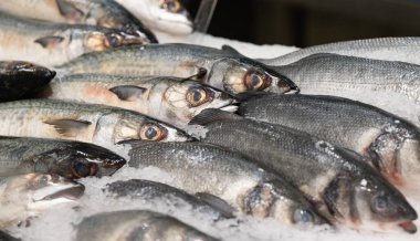 Madeira 'da bir süpermarkette balık