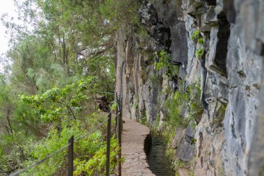 Madeira adasındaki levada manzarası