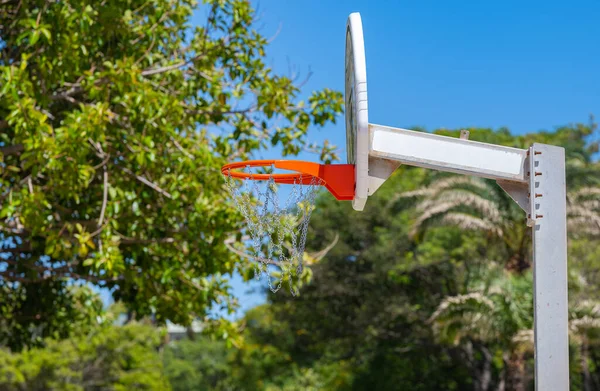 Koš Míček Hrající Basketbal — Stock fotografie