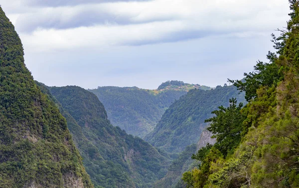 Krajobraz Lewady Maderze — Zdjęcie stockowe