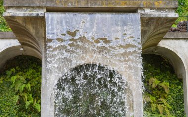Madeira 'da bir parkta su şelalesi