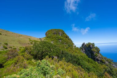 Güneşli bir günde Madeira adasında güzel bir manzara