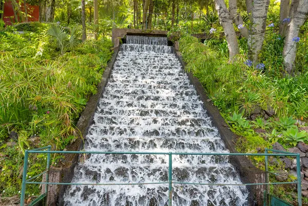 Vodopád Parku Madeiře — Stock fotografie