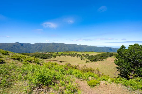Schöne Landschaft Auf Madeira Einem Sonnigen Tag — Stockfoto