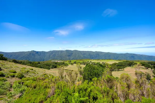 Piękny Krajobraz Maderze Słoneczny Dzień — Zdjęcie stockowe