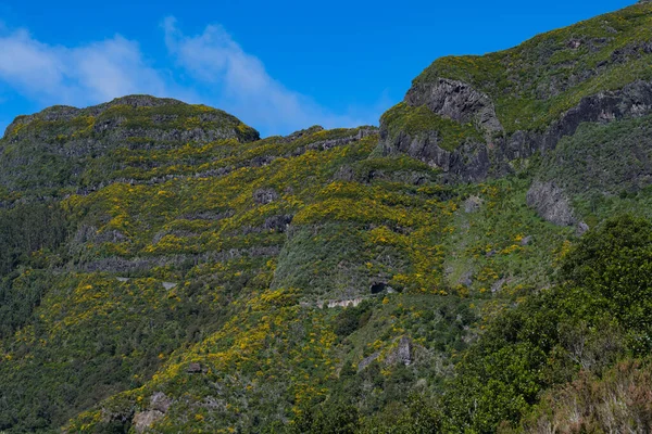 Güneşli Bir Günde Madeira Adasında Güzel Bir Manzara — Stok fotoğraf