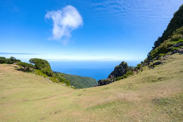 Bela Paisagem Ilha Madeira Dia Ensolarado — Fotografia de Stock