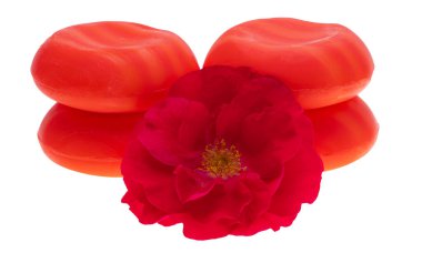 Gül sabunu beyaz arka plan üzerinde izole