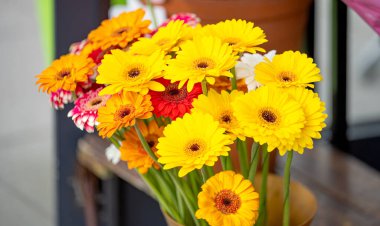 Çiçekçide bir buket gerbera