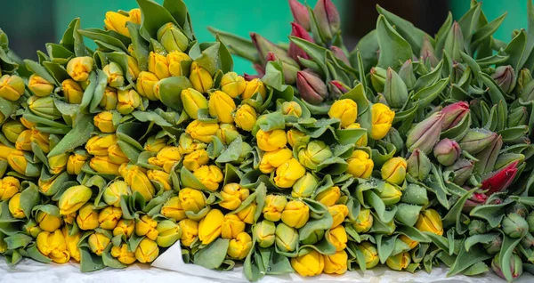 Lot Tulips Flower Shop — Stock Photo, Image
