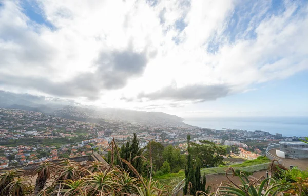 Vista Montanha Para Cidade Funchal — Fotografia de Stock