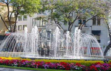 Madeira Adası 'ndaki Funchal şehrindeki çeşme.