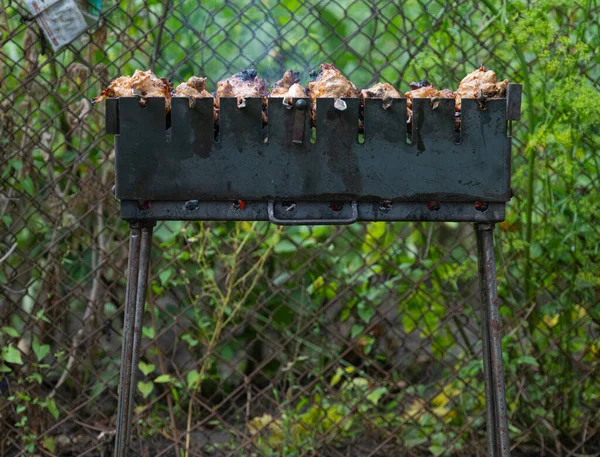 Carne Asa Primer Plano Parrilla — Foto de Stock