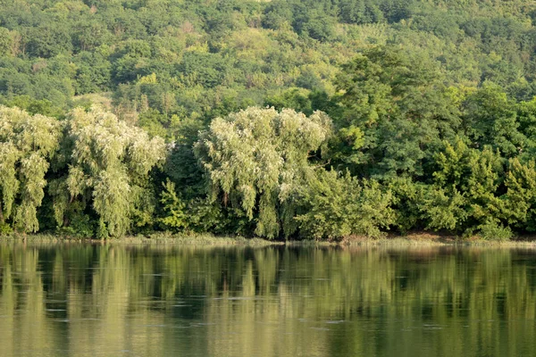 Summer Landscape Dniester River — Stock Photo, Image