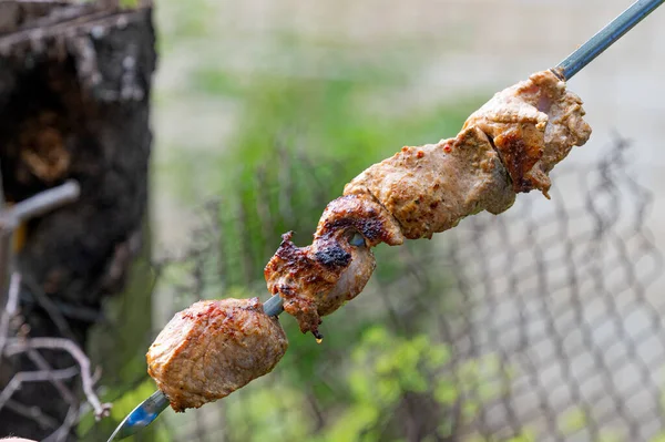 Shish Kebab Skewer Close — Fotografia de Stock