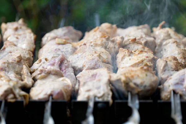 Carne Assada Grelha Close — Fotografia de Stock