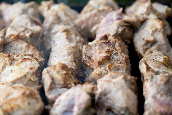 Carne Assada Grelha Close — Fotografia de Stock