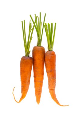 Beyaz arkaplanda havuç izole