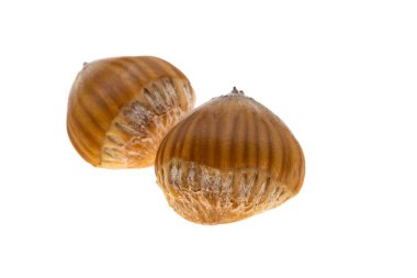 Fındık beyaz arkaplanda izole