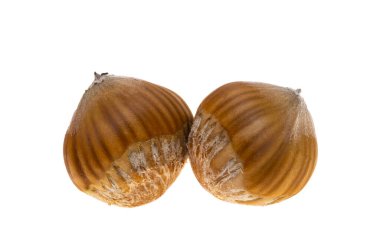 Fındık beyaz arkaplanda izole