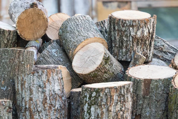 Tło Ciętego Drewna Dębowego — Zdjęcie stockowe