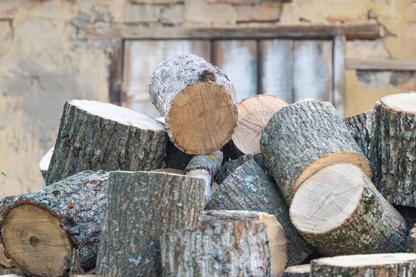Background Cut Oak Firewood — Stock Photo, Image