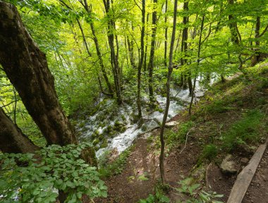 Hırvatistan 'ın Plitvice Gölleri manzarası