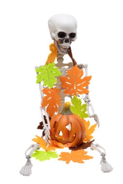 Beyaz arka plan üzerinde izole iskelet