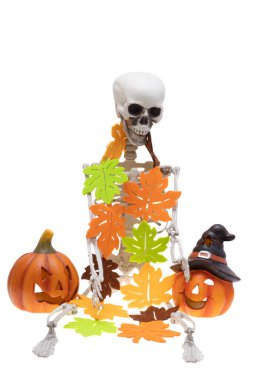 Beyaz arka plan üzerinde izole iskelet