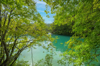 Hırvatistan 'ın Plitvice Gölleri manzarası