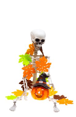 Beyaz arka plan üzerinde izole iskelet