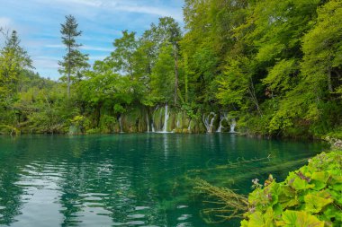 Hırvatistan 'daki Plitvice Göllerinin Manzarası