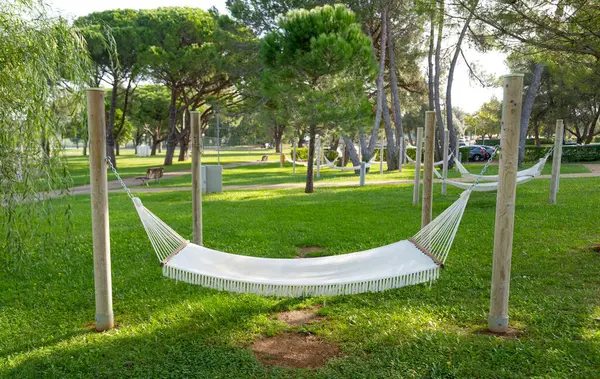 hammocks in the relaxation area