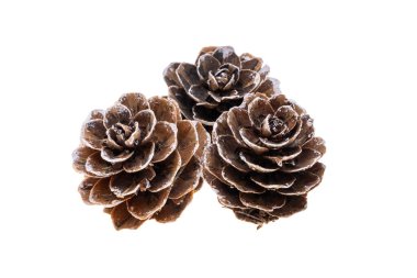 Beyaz arka planda izole edilmiş küçük noel konileri